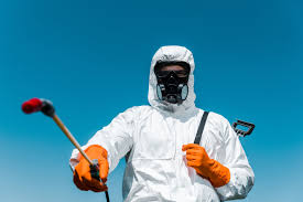 Best Bee and Wasp Removal  in Miamisburg, OH